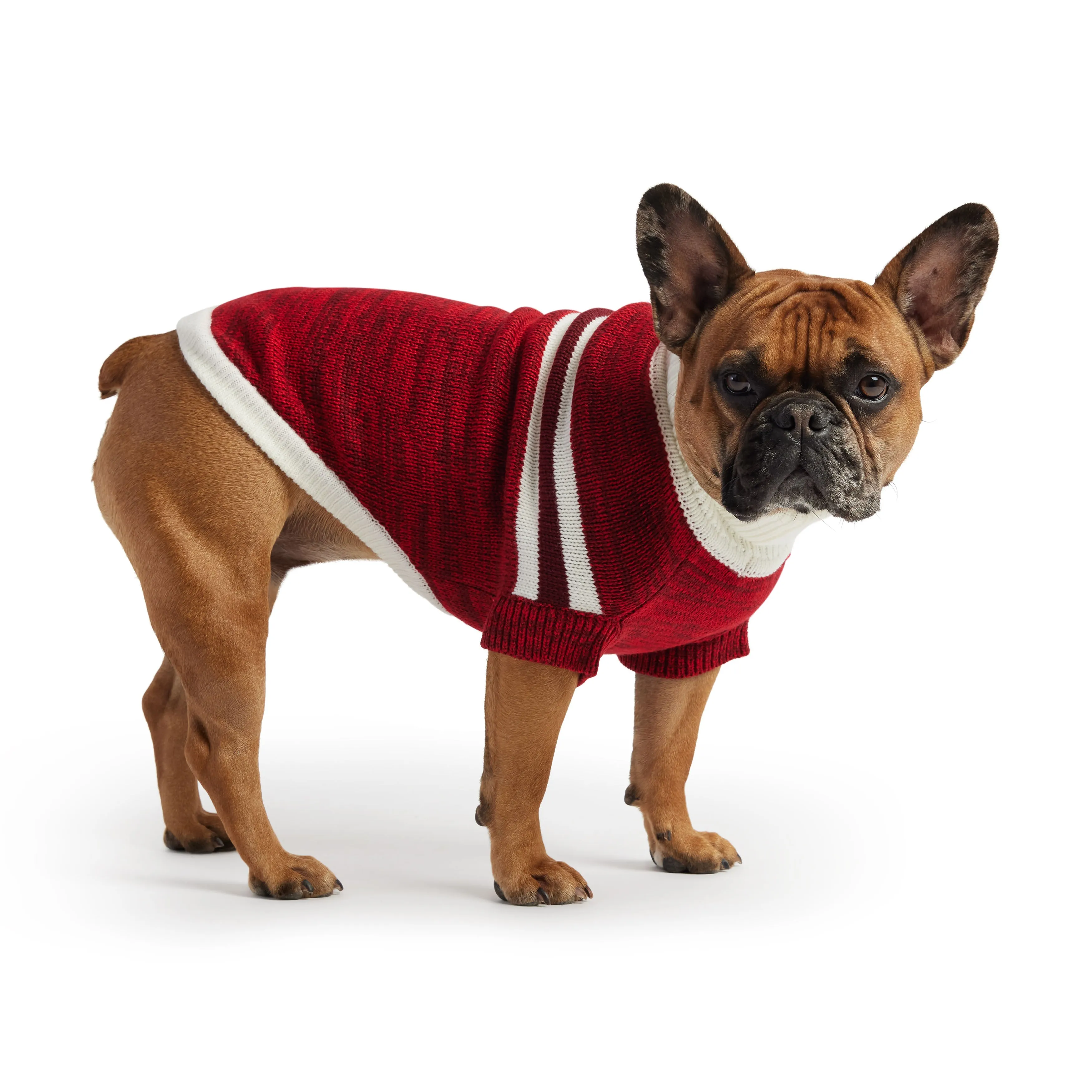 Trekking Sweater Multi-Knit Dog Sweater  - Red