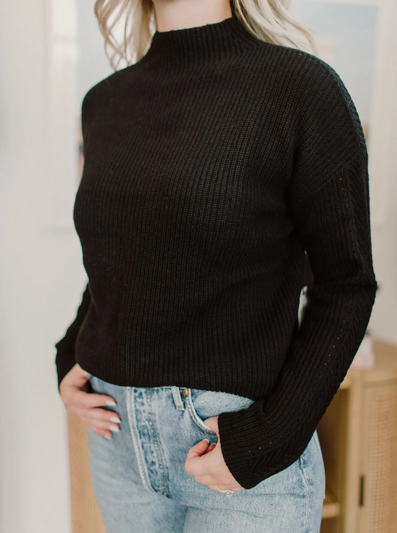 White   Warren - Sustainable Cotton Ribbed Mock Neck Sweater in Black